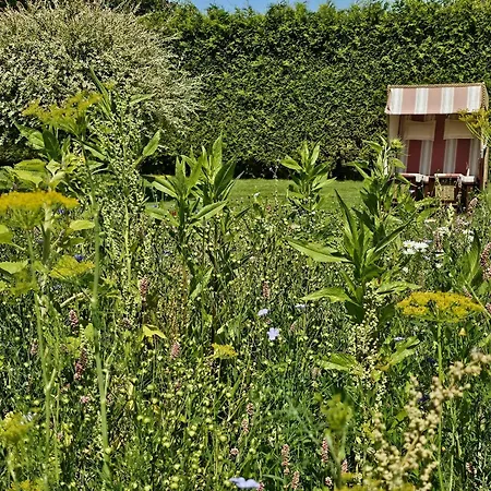 Auszeit Im 'seepferdchen' Am Schilfmeerhof *