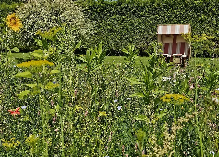 Auszeit Im 'seepferdchen' Am Schilfmeerhof *